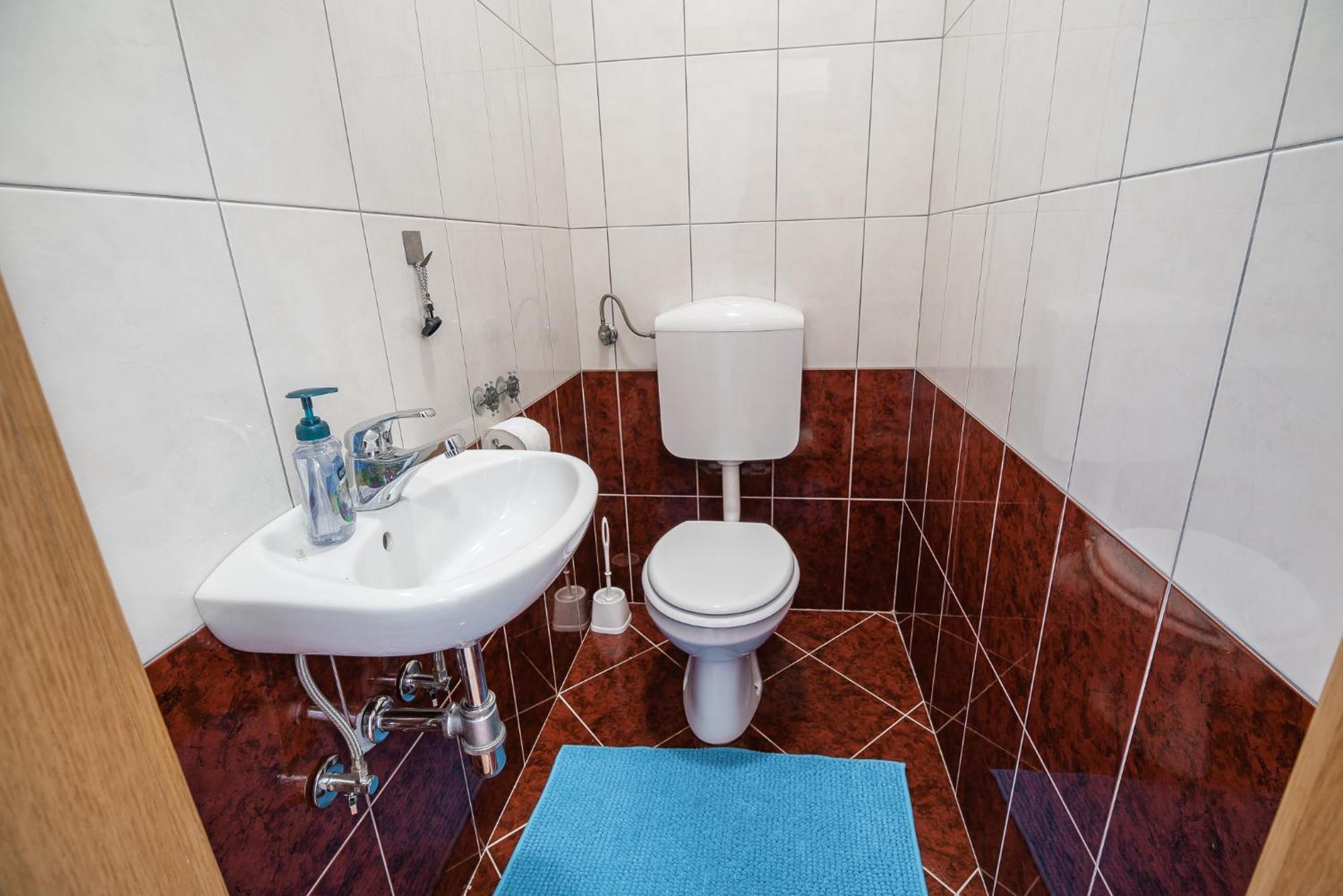 Apartment Zelimlje Škofljica エクステリア 写真